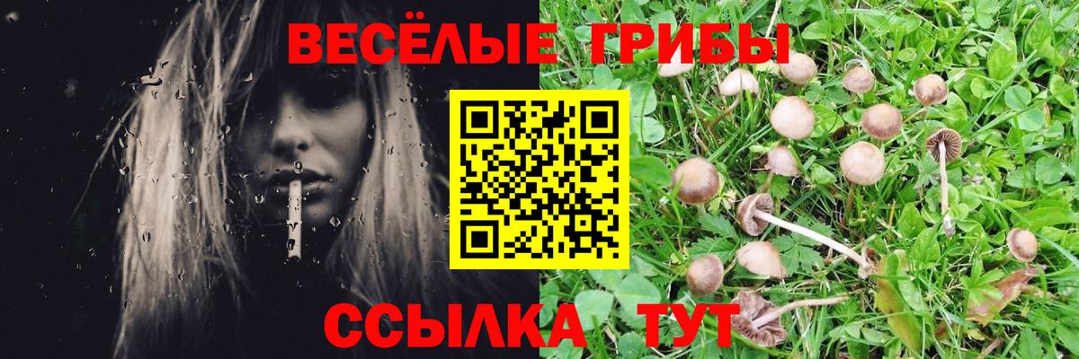Псилоцибиновые грибы ЛСД Новый Уренгой