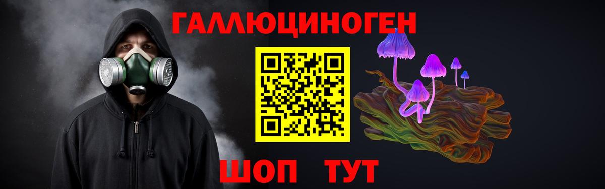Галлюциногенные грибы MAGIC MUSHROOMS  Вход с VPN  Новый Уренгой  Галлюциногенные грибы Psilocybine cubensis 
